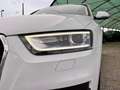 Audi Q3 Q3 2.0 tdi Business quattro 140cv Bianco - thumbnail 15
