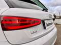 Audi Q3 Q3 2.0 tdi Business quattro 140cv Bianco - thumbnail 14