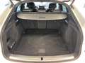 Audi Q5 Sportback 50 TDI tipt. qu. S LINE+MATRIX+AHZV Weiß - thumbnail 6