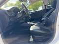Ford Focus Turnier Vignale PANO*ACC*TWA*HUD*LEDER*KAM Blanc - thumbnail 7