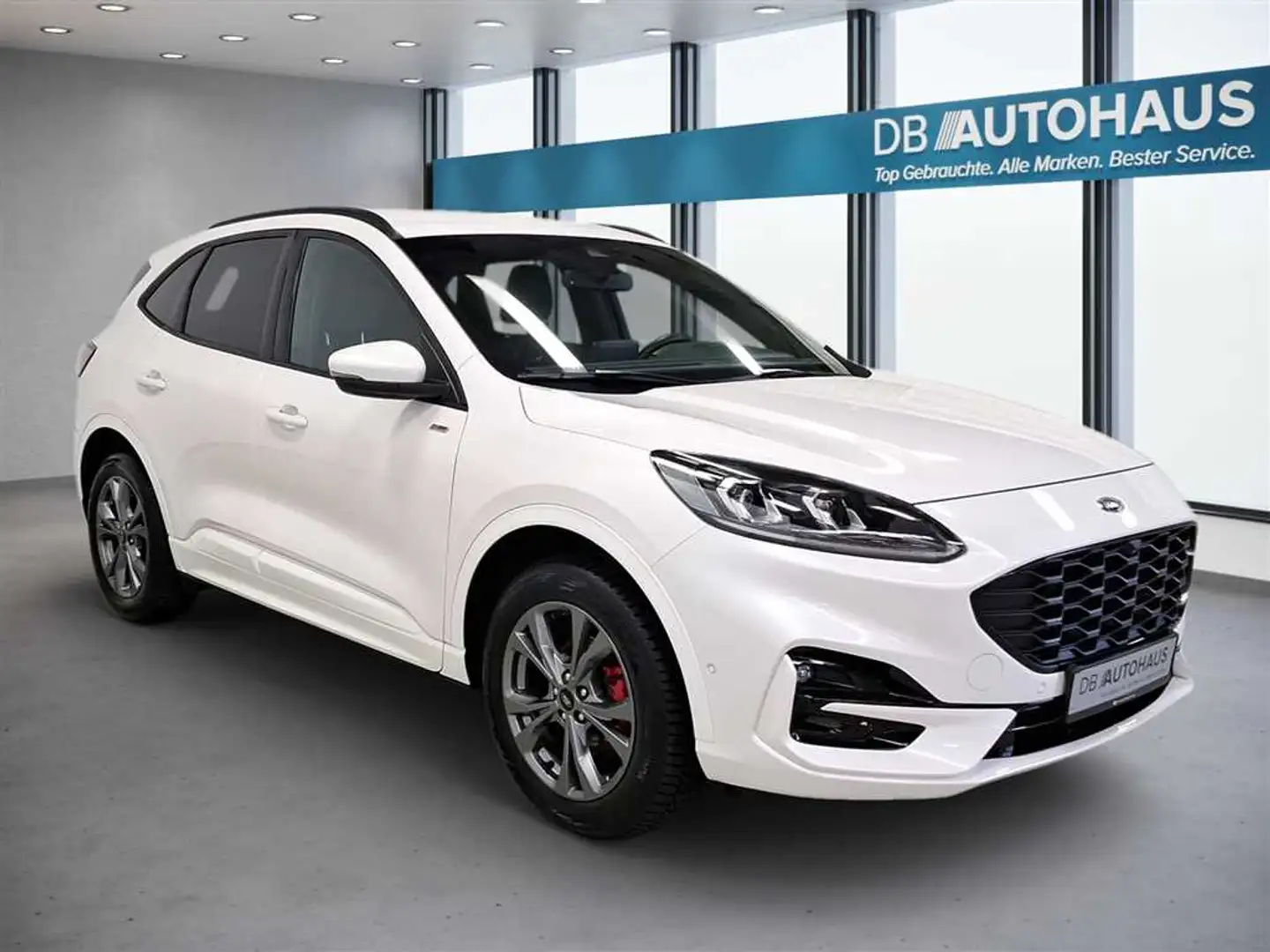 Ford Kuga ST-Line 2.5 DuraTec PHEV Wit - 2