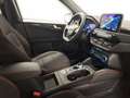 Ford Kuga ST-Line 2.5 DuraTec PHEV Wit - thumbnail 19