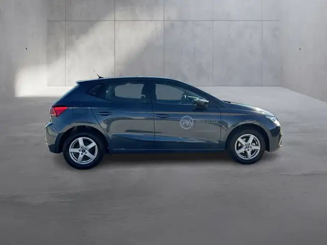 Seat Ibiza view 5