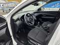 Hyundai TUCSON Klima Alu19" RCam AHK BT 110 kW (150 PS), Schal... Blanc - thumbnail 8