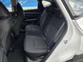 Hyundai TUCSON Klima Alu19" RCam AHK BT 110 kW (150 PS), Schal... Blanc - thumbnail 19