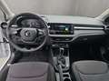 Skoda Fabia Drive 1.0 TSI Weiß - thumbnail 14