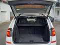 BMW X3 BMW X3 xDrive20d "xLine Weiß - thumbnail 15