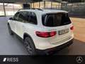 Mercedes-Benz GLB 220 d 4M AMG+AHK+PANO+20"+MULTIBEAM+360°+KEYLESS Weiß - thumbnail 4