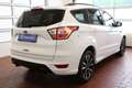 Ford Kuga ST-Line Automatik Navi Bi-Xenon Weiß - thumbnail 6
