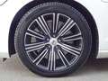 Volvo V60 T6 Inscription Plug-In AWD PANO ACC Kamera Weiß - thumbnail 11