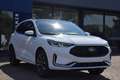 Ford Kuga FHEV Hybrid ST-Line X 4x4 Vollausstattung Blanc - thumbnail 5