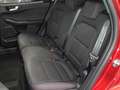 Ford Kuga 2.5 FHEV ST-LINE AUTO 5P Rosso - thumbnail 9