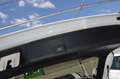 Audi A4 A4 Avant 35TDI S-line S-tronic LED P-DACH VIRT 1.B Weiß - thumbnail 18