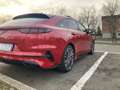 Kia Ceed / cee'd ProCeed 1.6 crdi GT Line 136cv dct Rosso - thumbnail 2