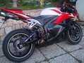 Honda CBR 600 RR Rosso - thumbnail 2