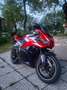 Honda CBR 600 RR Rosso - thumbnail 7
