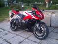 Honda CBR 600 RR Rosso - thumbnail 3