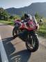 Honda CBR 600 RR Rosso - thumbnail 8