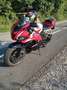 Honda CBR 600 RR Rosso - thumbnail 10