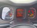 Fiat Panda 1.0 firefly hybrid City Life s Negro - thumbnail 10