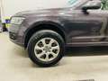 Audi Q5 3,0 TDI quattro DPF S-tronic Grau - thumbnail 17