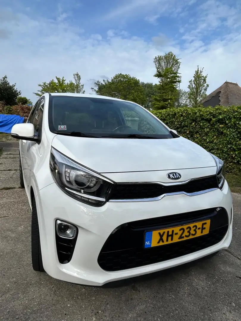 Kia Picanto Picanto 1.0 CVVT Colour Edition Wit - 1