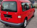 Volkswagen Caddy Caddy 3 1.9 TDI Life (7-Si.) Rouge - thumbnail 2