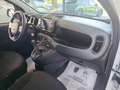 Fiat Panda 1.0 FireFly S&S Hybrid Bianco - thumbnail 14