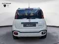 Fiat Panda 1.0 FireFly S&S Hybrid Bianco - thumbnail 3