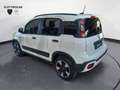 Fiat Panda 1.0 FireFly S&S Hybrid Bianco - thumbnail 2