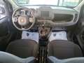 Fiat Panda 1.0 FireFly S&S Hybrid Bianco - thumbnail 12