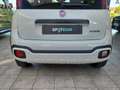 Fiat Panda 1.0 FireFly S&S Hybrid Bianco - thumbnail 8