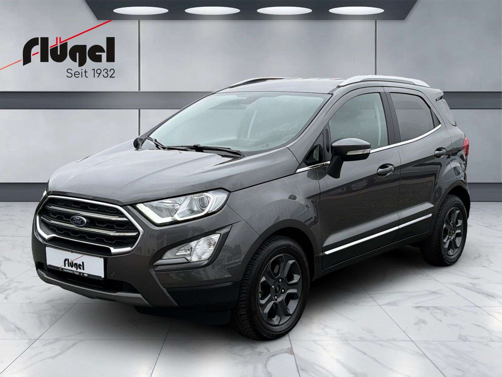 Ford EcoSport occasion