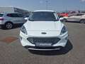 Ford Kuga 2.5 Duratec 190ch FHEV E85 Titanium BVA Blanc - thumbnail 2