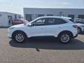 Ford Kuga 2.5 Duratec 190ch FHEV E85 Titanium BVA Blanc - thumbnail 8