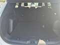 Ford Kuga 2.5 Duratec 190ch FHEV E85 Titanium BVA Blanc - thumbnail 13