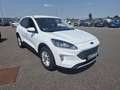 Ford Kuga 2.5 Duratec 190ch FHEV E85 Titanium BVA Blanc - thumbnail 3
