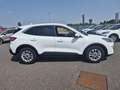 Ford Kuga 2.5 Duratec 190ch FHEV E85 Titanium BVA Blanc - thumbnail 4