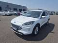 Ford Kuga 2.5 Duratec 190ch FHEV E85 Titanium BVA Blanc - thumbnail 1