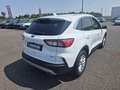 Ford Kuga 2.5 Duratec 190ch FHEV E85 Titanium BVA Blanc - thumbnail 5