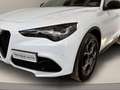 Alfa Romeo Stelvio 2.2 Turbodiesel 210 CV AT8 Q4 Veloce Bianco - thumbnail 32