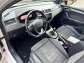 SEAT Ibiza 1.0 TSI FR Black Edition Pano Virtual Led Stoelvw Wit - thumbnail 5