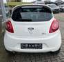 Ford Ka/Ka+ Titanium *Zahnriemen neu*LMF*Sitzheizung* Blanc - thumbnail 8
