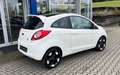 Ford Ka/Ka+ Titanium *Zahnriemen neu*LMF*Sitzheizung* Blanc - thumbnail 6