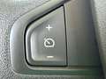 Renault Kangoo Maxi 4p Blue dCi 70 kW (95CV) Amarillo - thumbnail 20