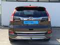 Honda CR-V Executive 4WD Panorama Leder Kamera AHK Brun - thumbnail 6