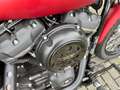 Harley-Davidson Street Bob Softail Street Bob FXBB 1745 Speiche Kennzeichen Rot - thumbnail 4