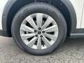 SEAT Arona 1.0 TSI Style Edition DSG, AHK, RFK Weiß - thumbnail 9