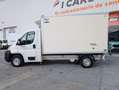 Citroen Jumper 35 L2S HDi 120 Blanco - thumbnail 5