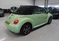 Volkswagen New Beetle Cabriolet 1.4i Cabrio Sportvelgen NL-Auto NAP Boek Groen - thumbnail 19
